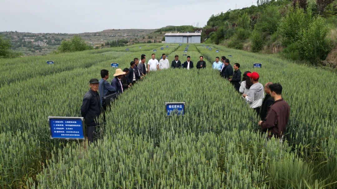 微信图片_2026-06-18_141804_997(1).jpg