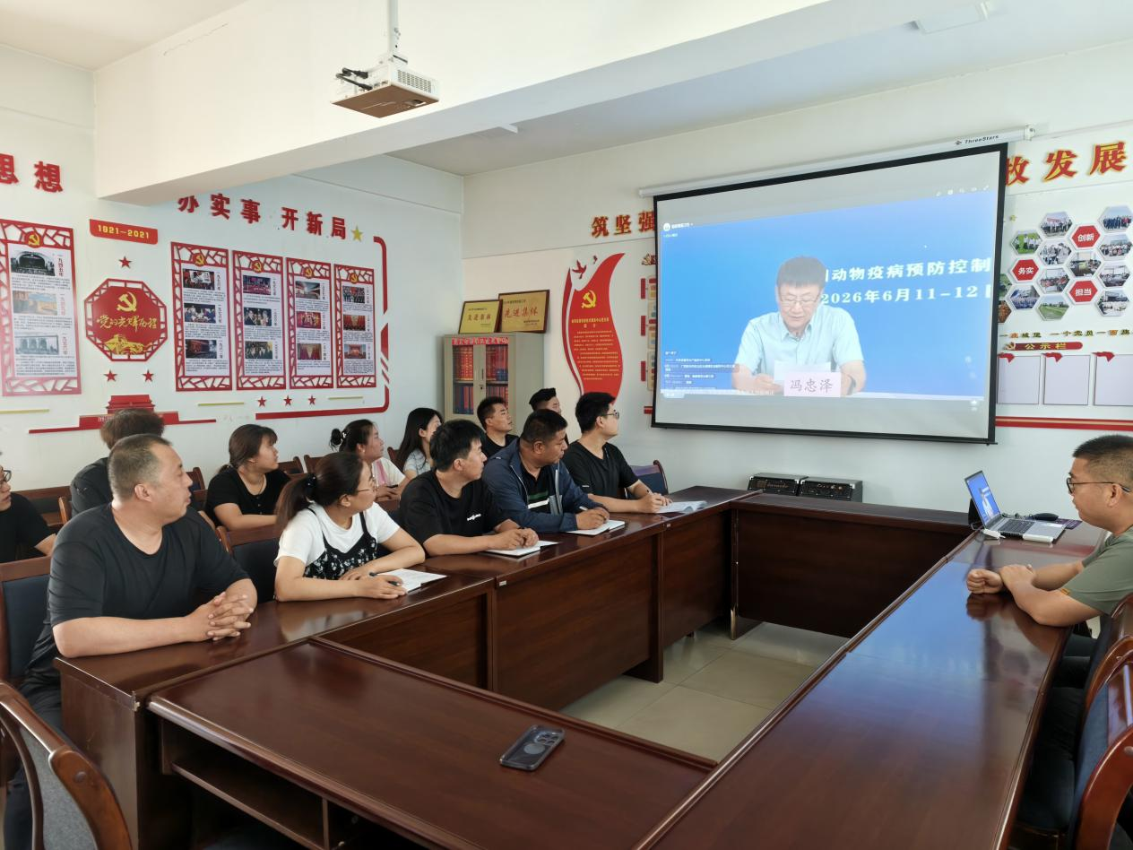 图片1 (1).png