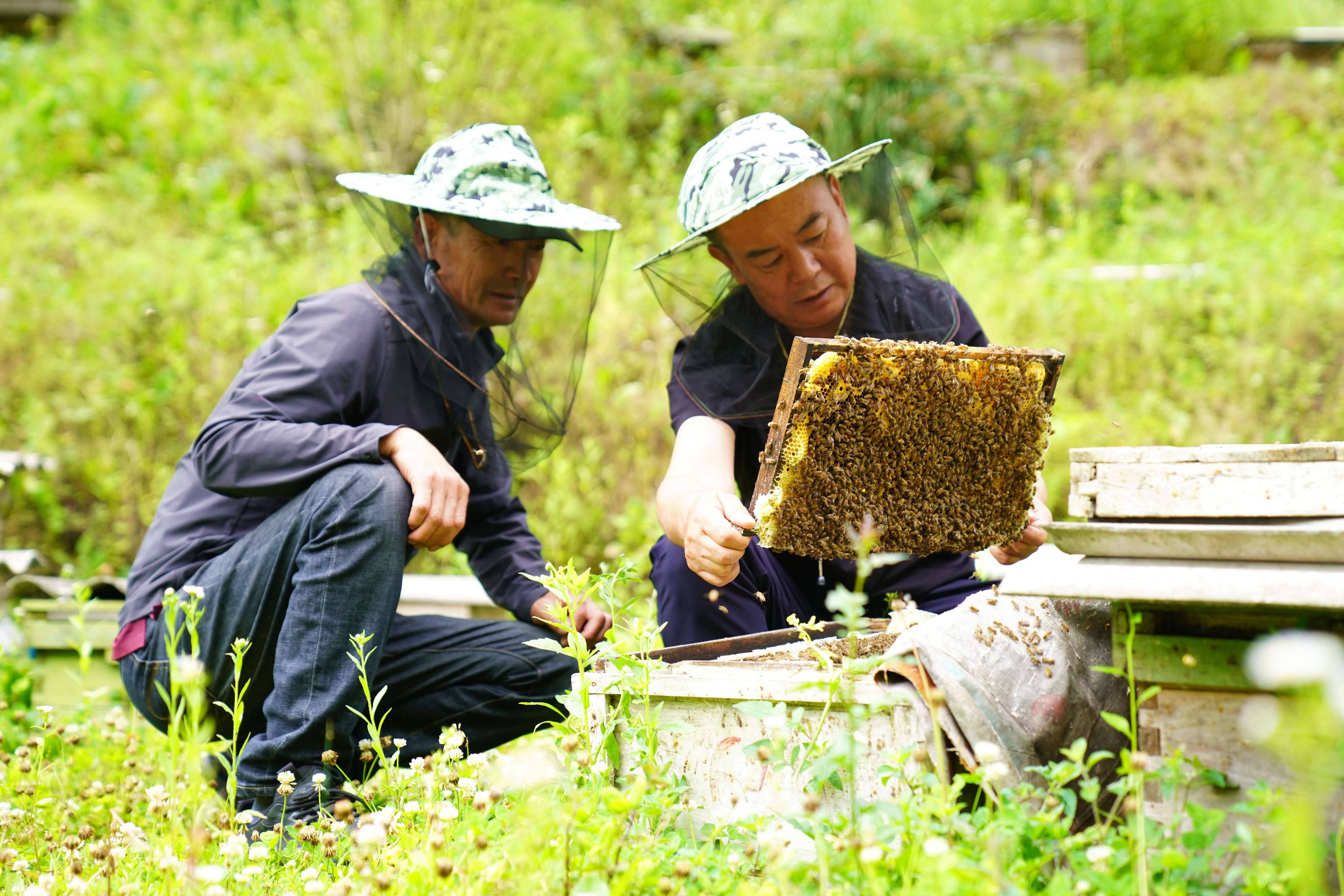 微信图片_20260629091410_3032_9.jpg