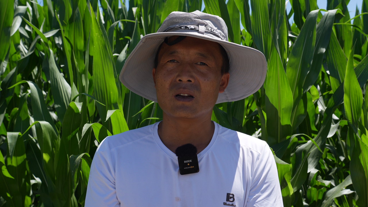 C5807T01.JPG