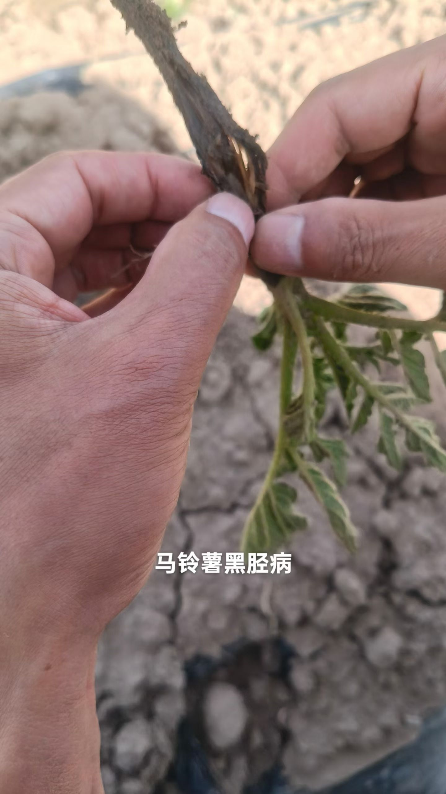 微信图片_20260728162641_1809_3.jpg