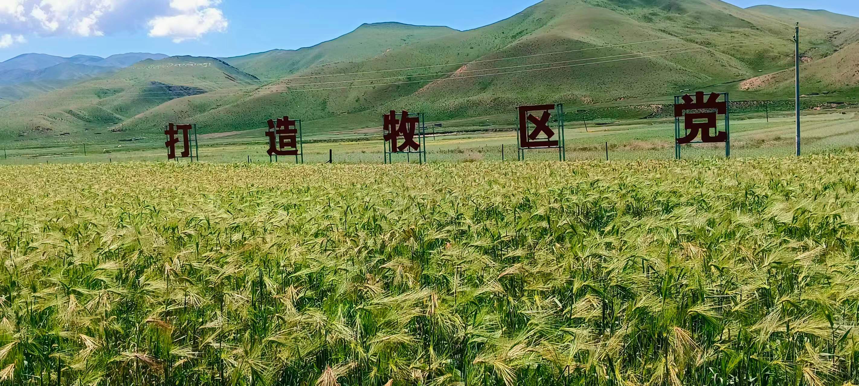 微信图片_20260805092449_3580_9.jpg