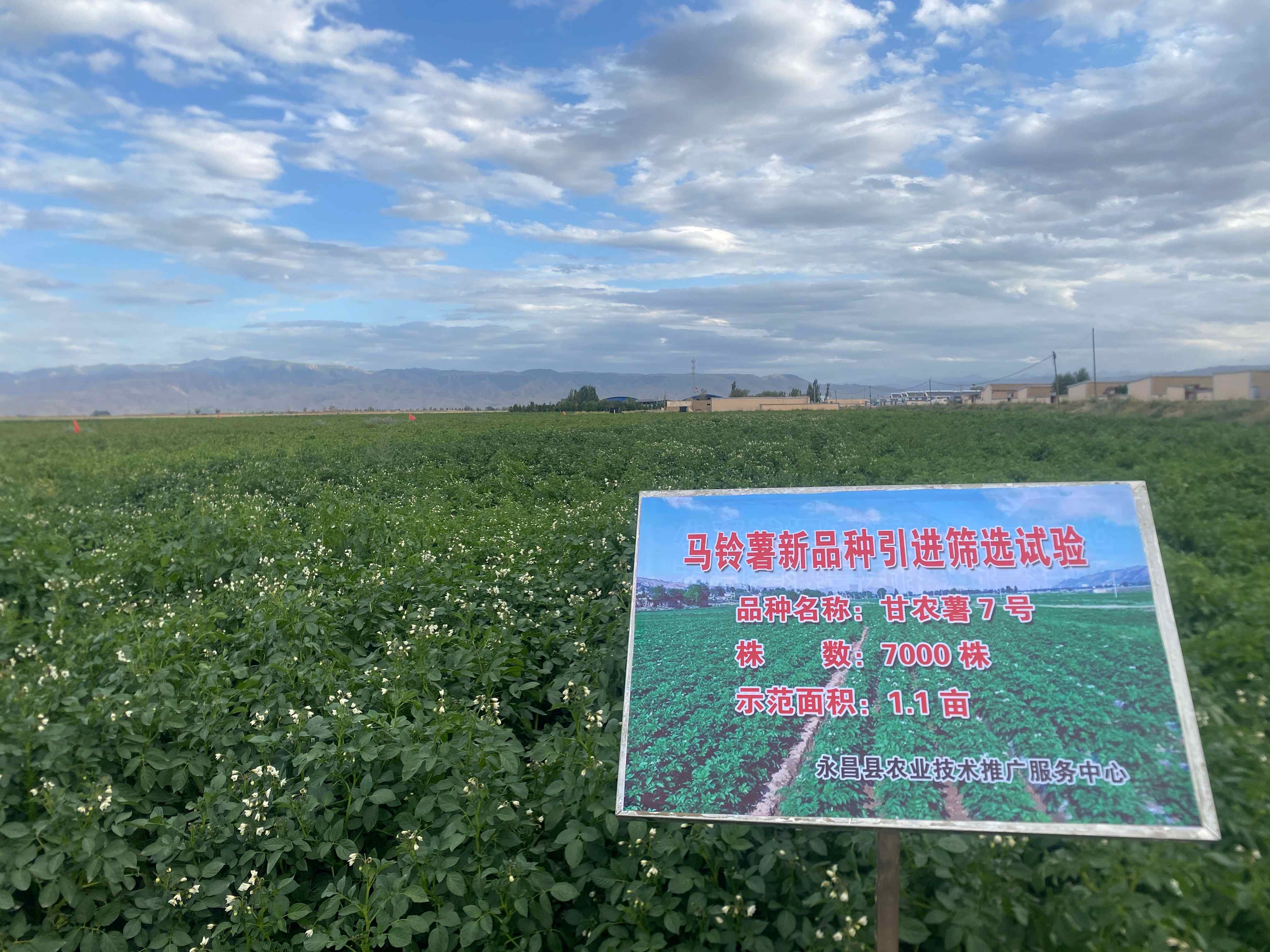 微信图片_20260821100419_7_69.jpg