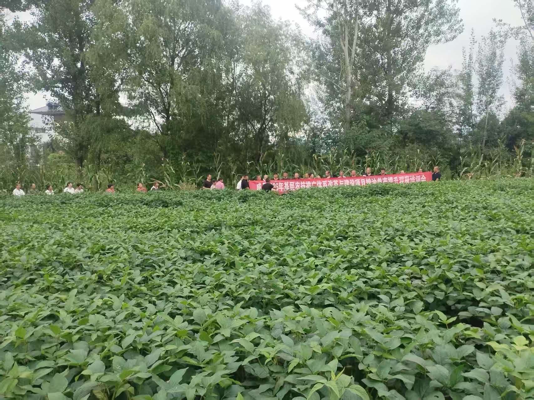 微信图片_20260826111322_105_1.jpg