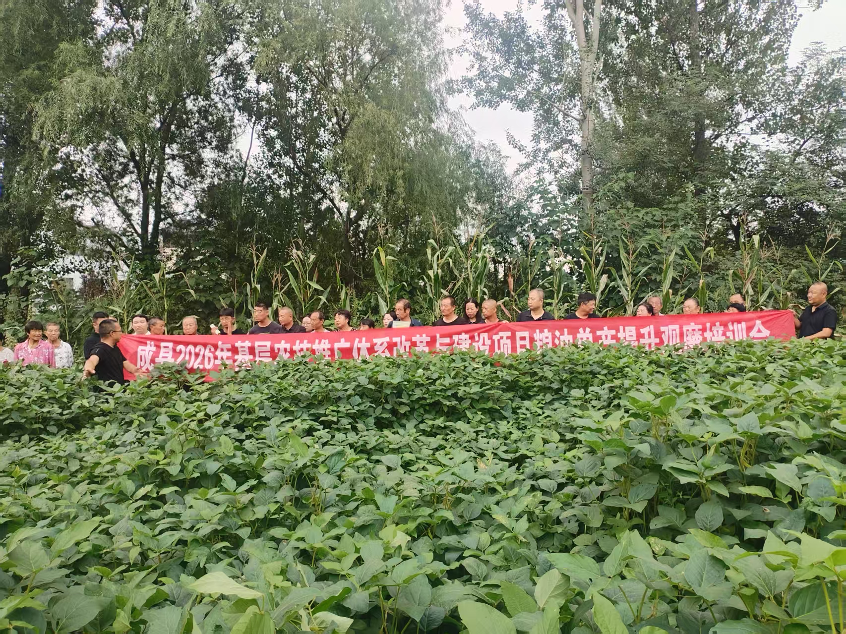 微信图片_20260826110110_103_1.jpg