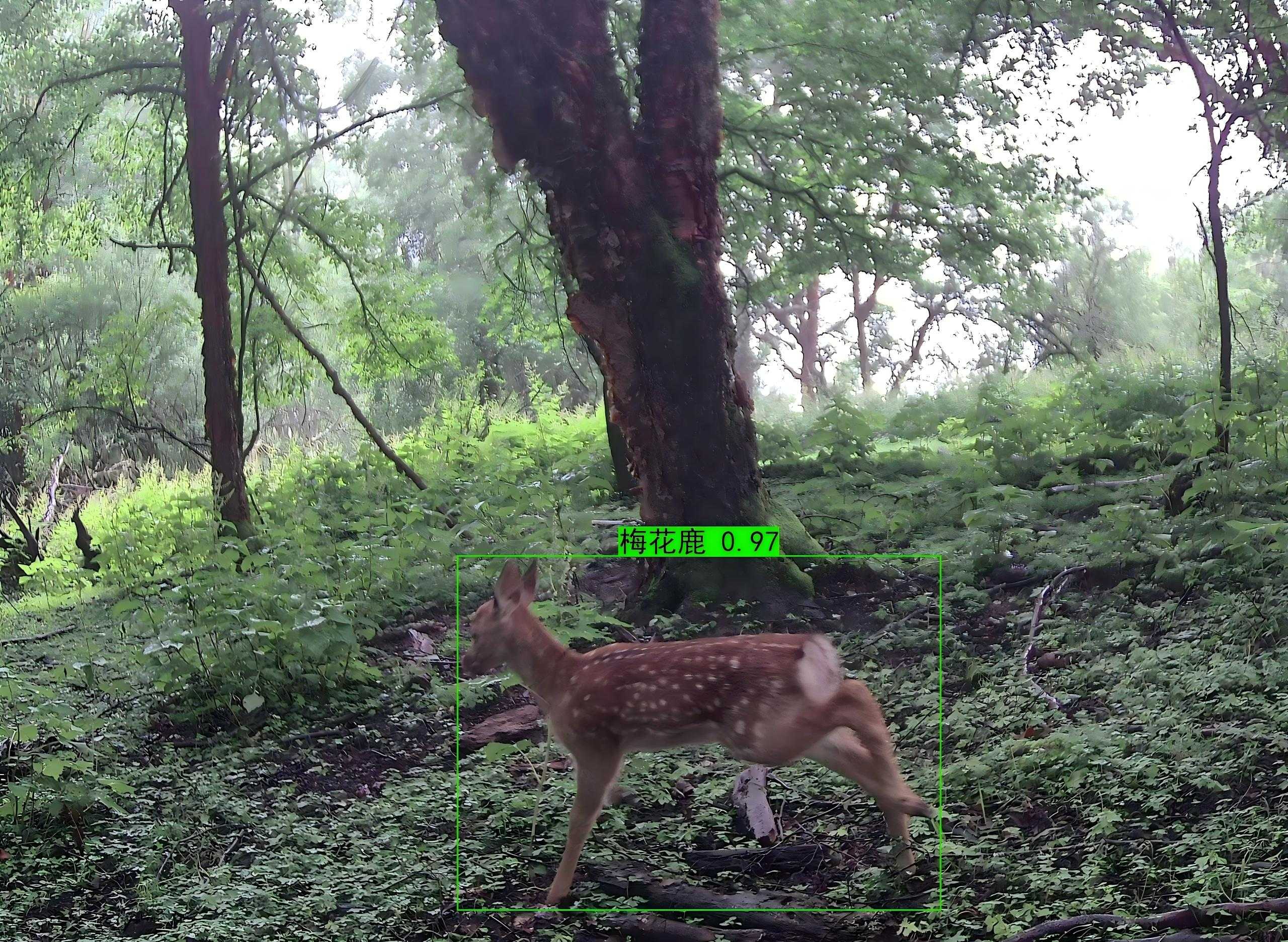 微信图片_20260826113059_27_192.jpg