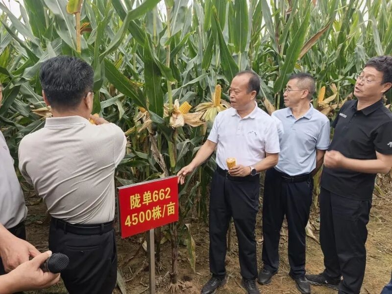 微信图片_2026-08-29_195137_379.jpg