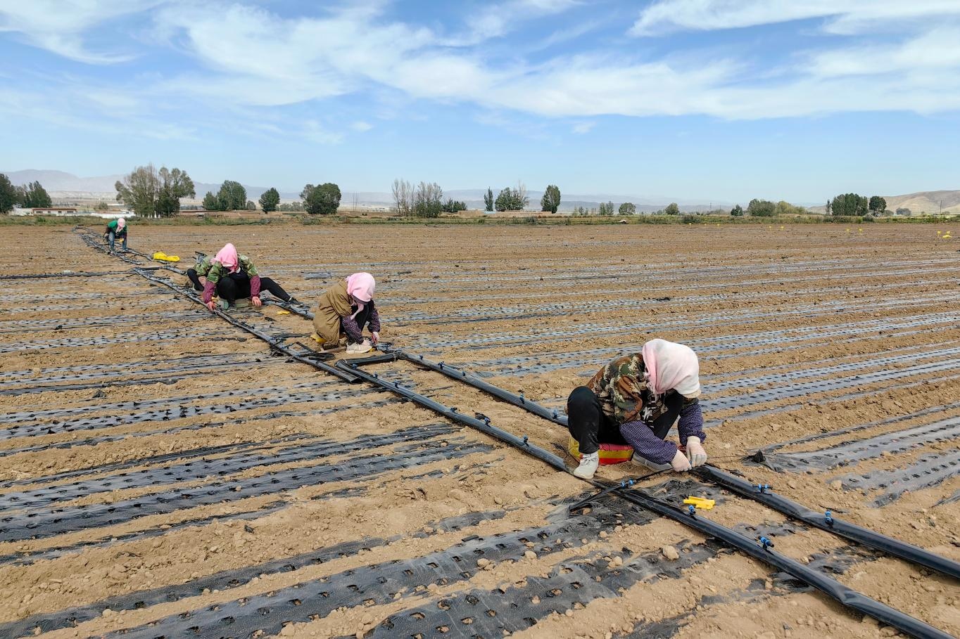 图片3.jpg