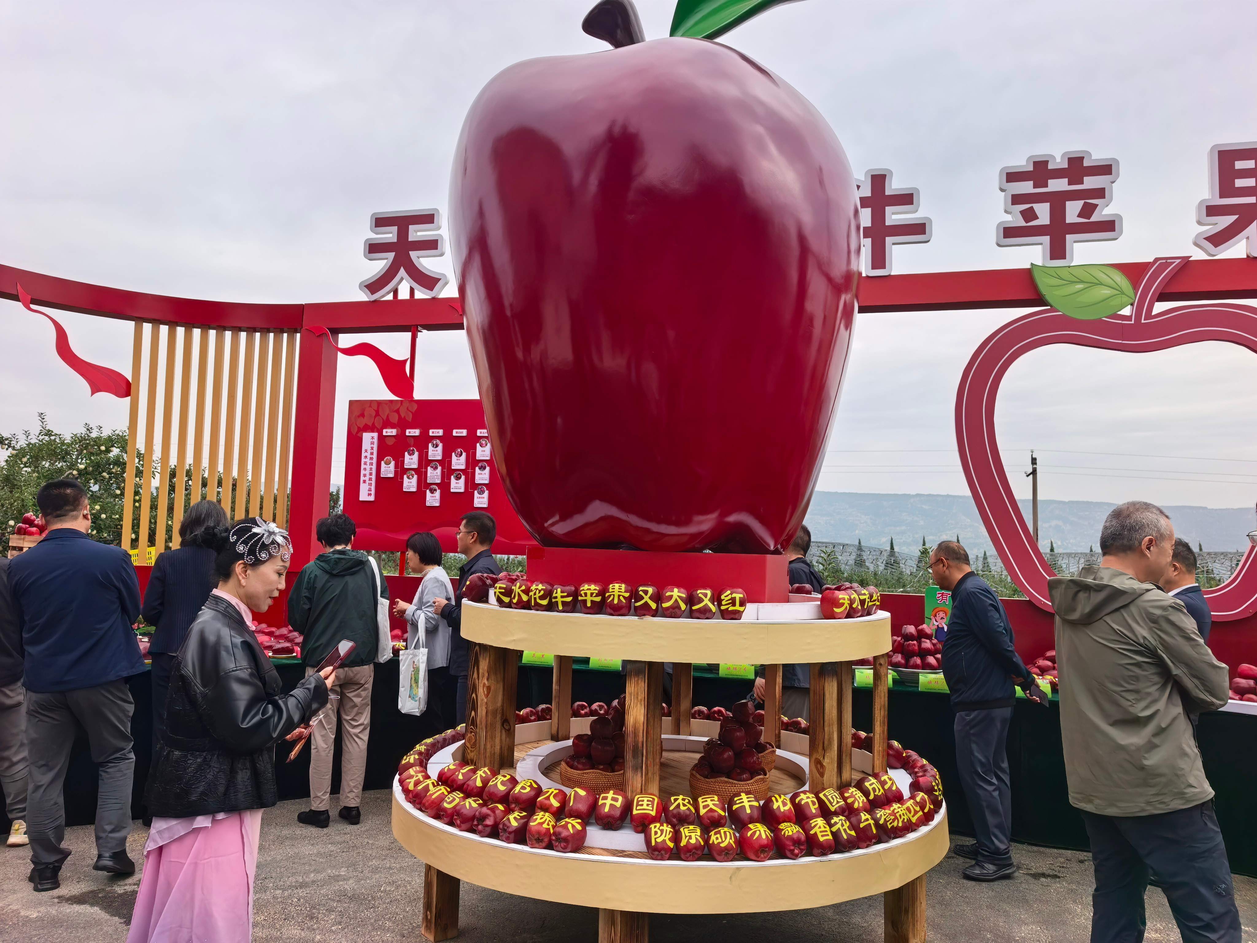 微信图片_20260923114245_435_5.jpg