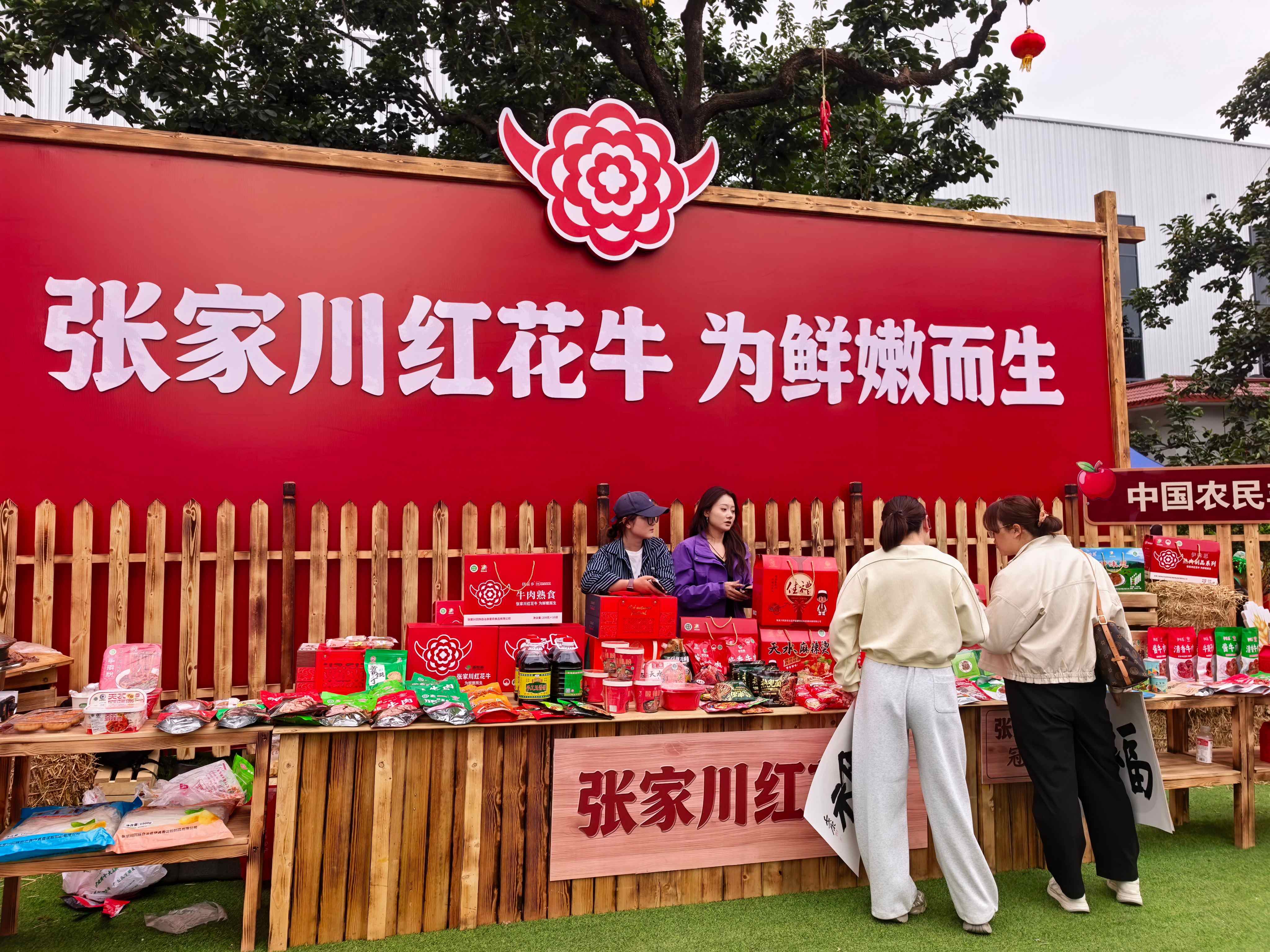 微信图片_20260923114240_433_5.jpg