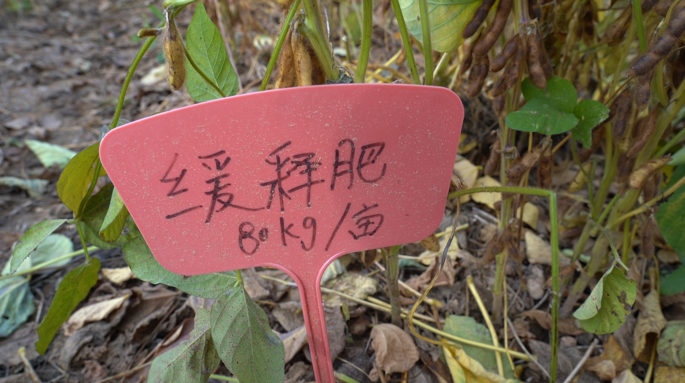 微信图片_20261019110153_1194_3.jpg