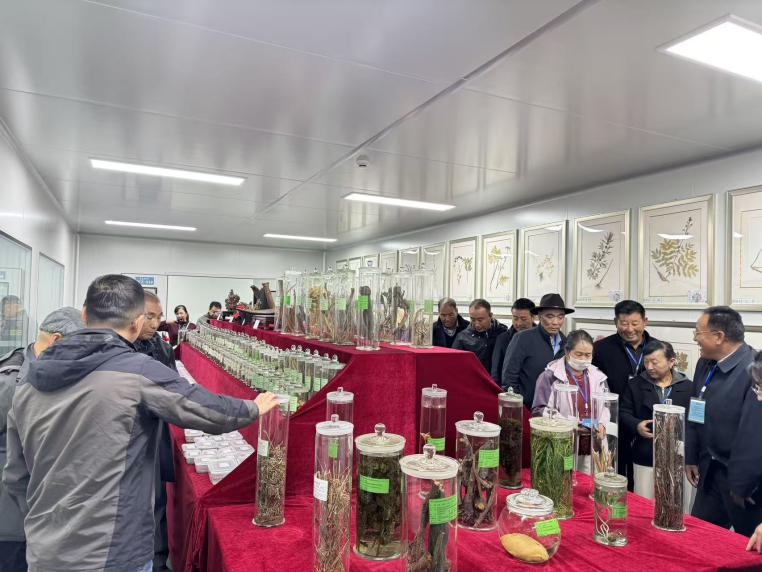 图片6.png